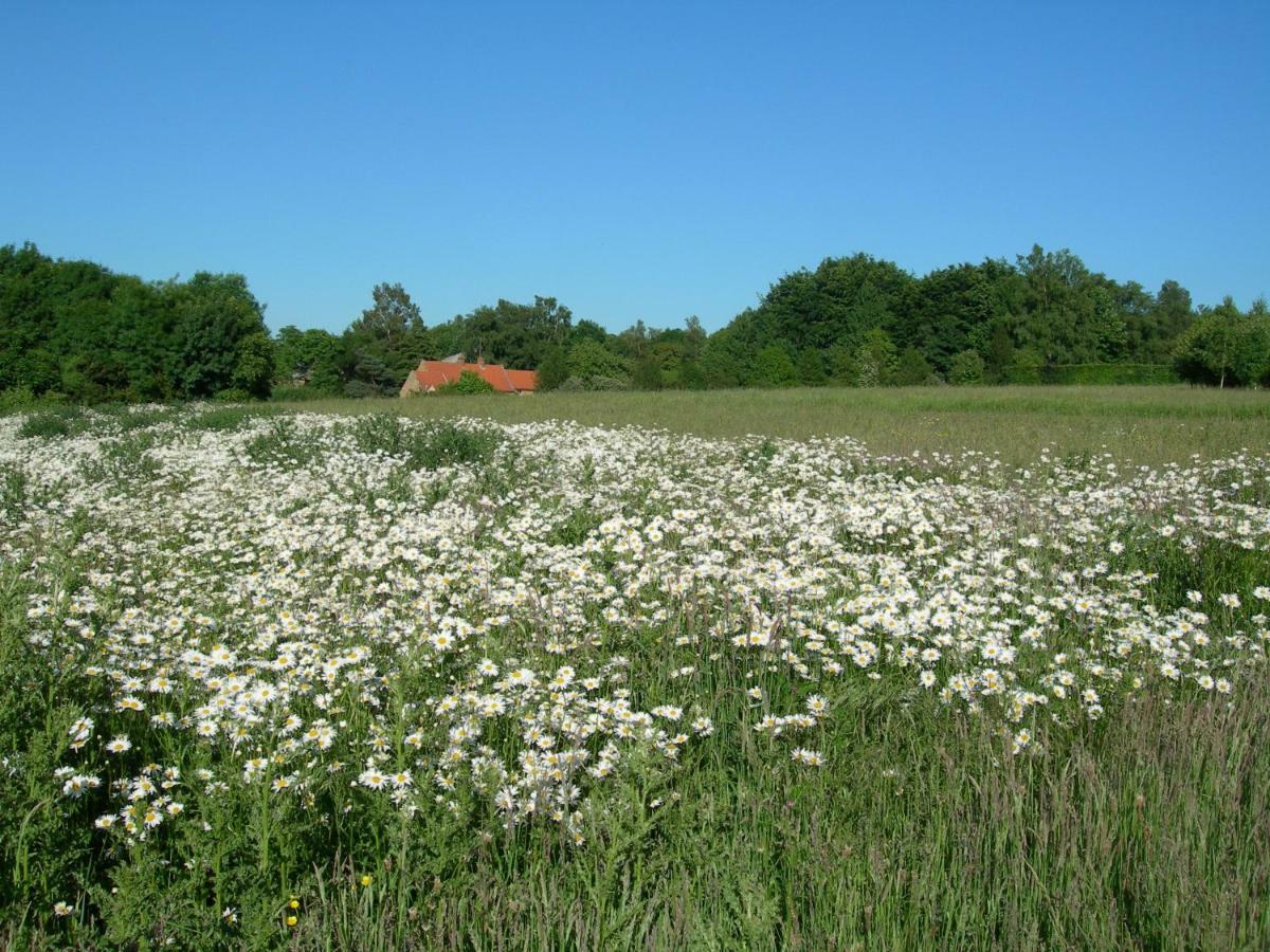 Heath Farm Holiday Cottages Swerford Extérieur photo